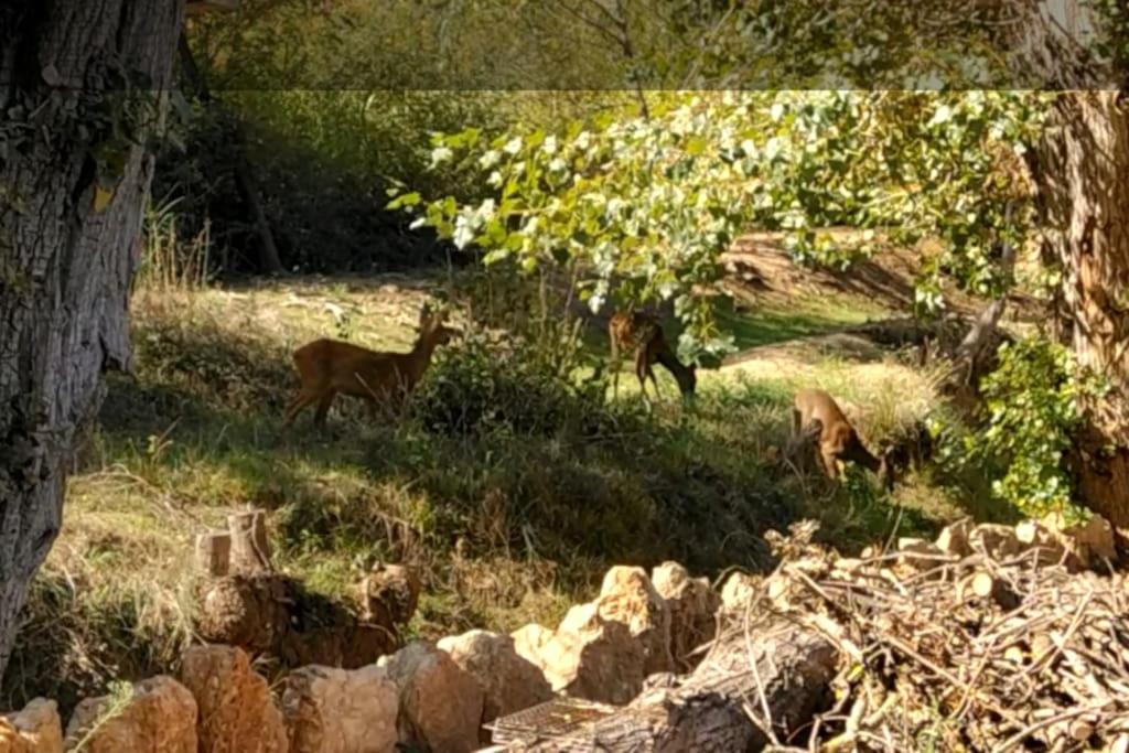 Maison Nature Villa